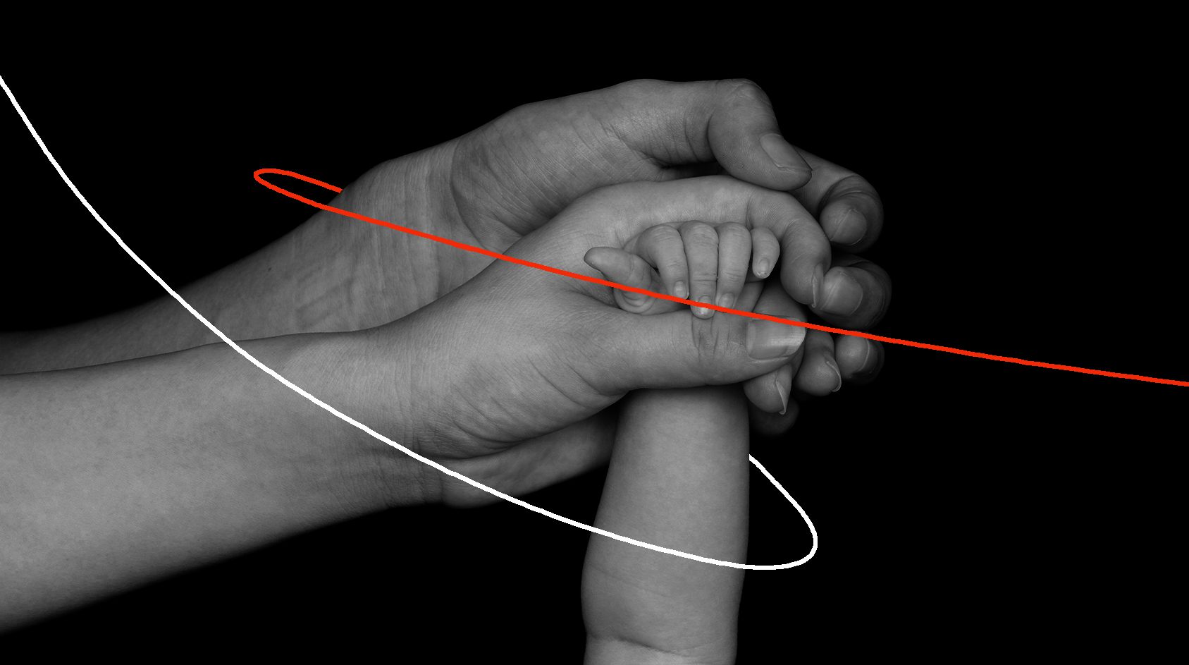 INDONESIA_ Persenyawaan Yang Menyatukan Tujuan