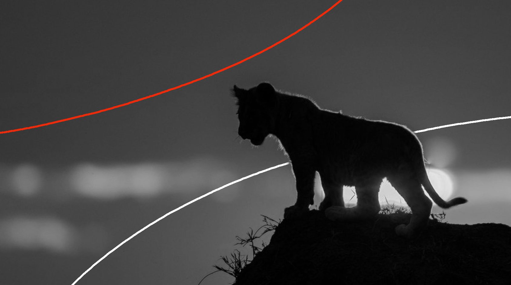 Regenerasi Pemimpin Partai Politik